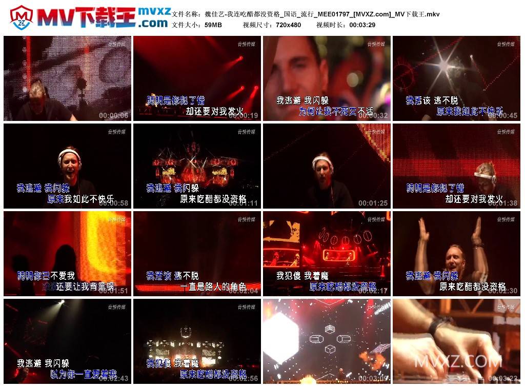 魏佳艺-我连吃醋都没资格_国语_流行_MEE01797